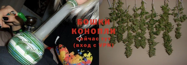прущие грибы Абаза