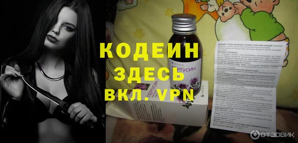 прущие грибы Абаза