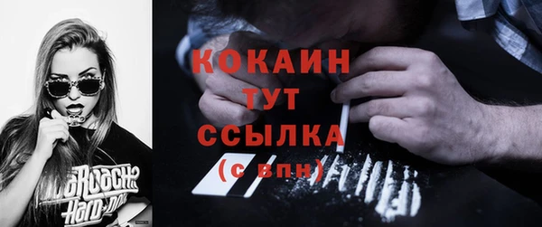 прущие грибы Абаза