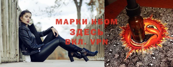 прущие грибы Абаза