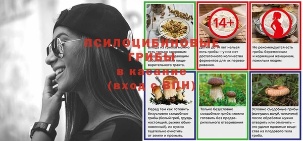 PSILOCYBIN Абинск