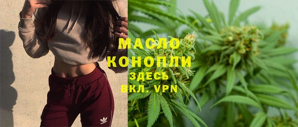 прущие грибы Абаза