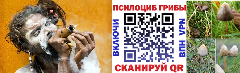 KRAKEN онион  Хилок  Галлюциногенные грибы прущие грибы 